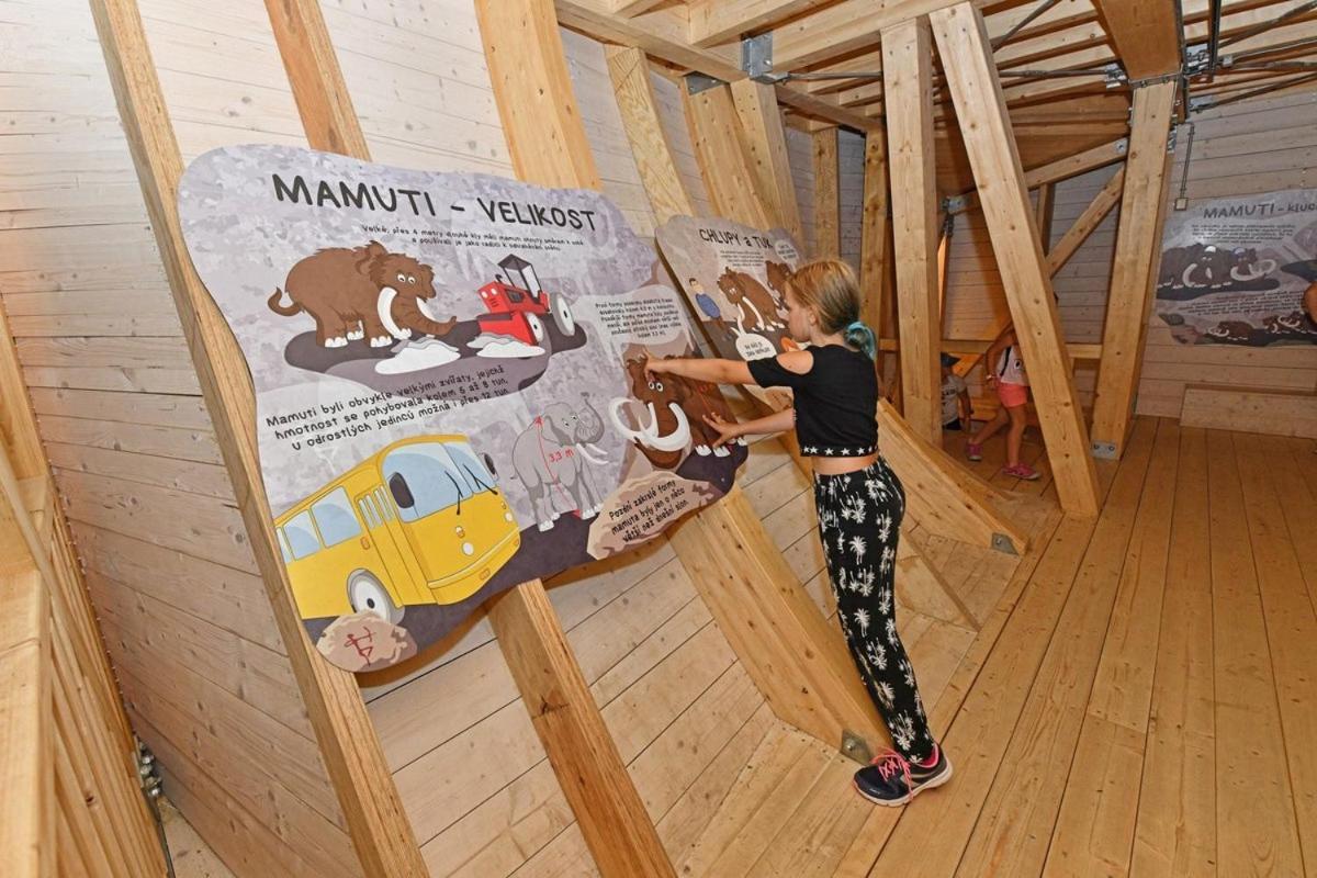 Apartman - Dolni Morava - "Sedmicka" Pro 2 Az 6 Osob Eksteriør bilde